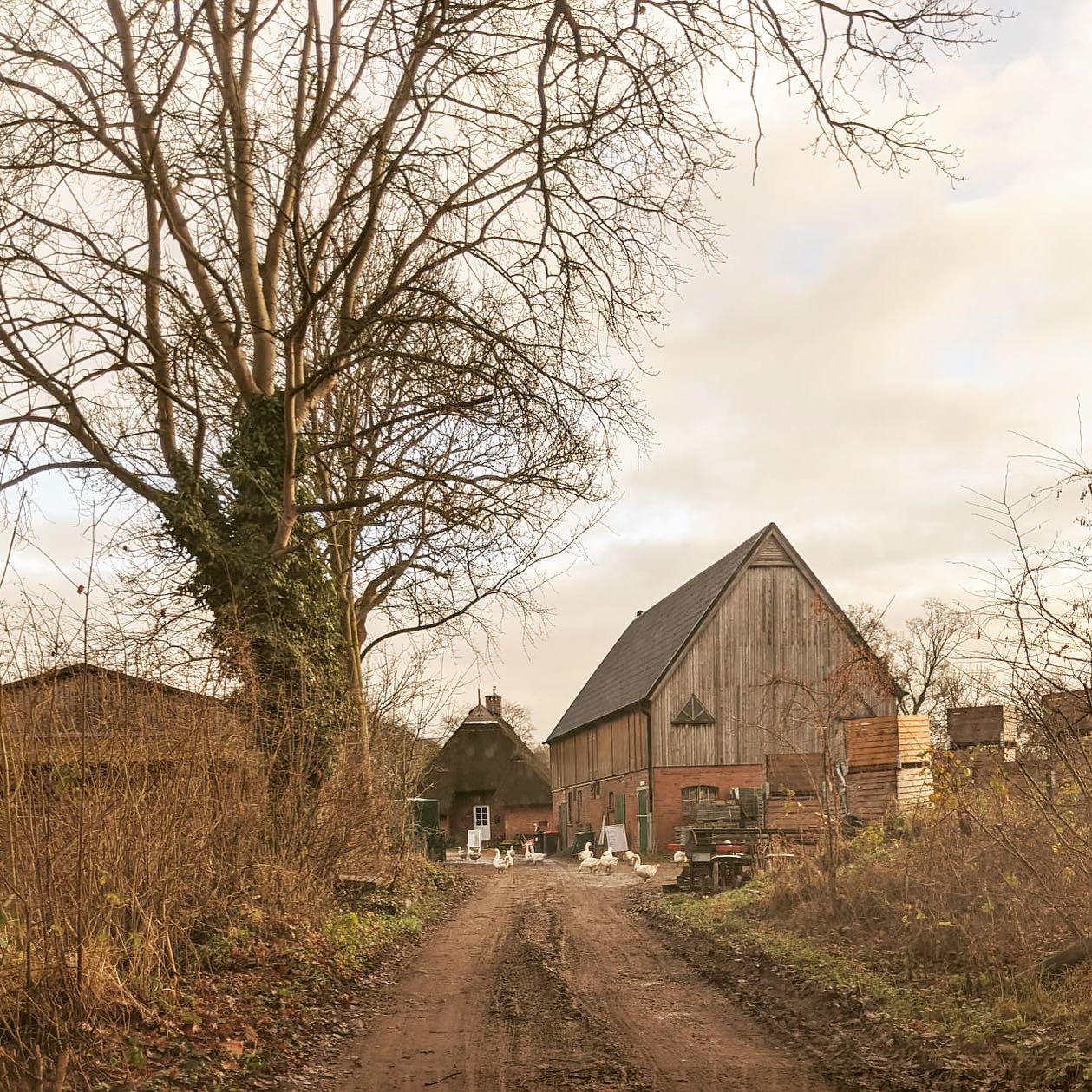 Hof Lemsahl Hofansicht